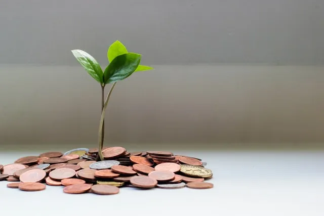 investing in real estate
